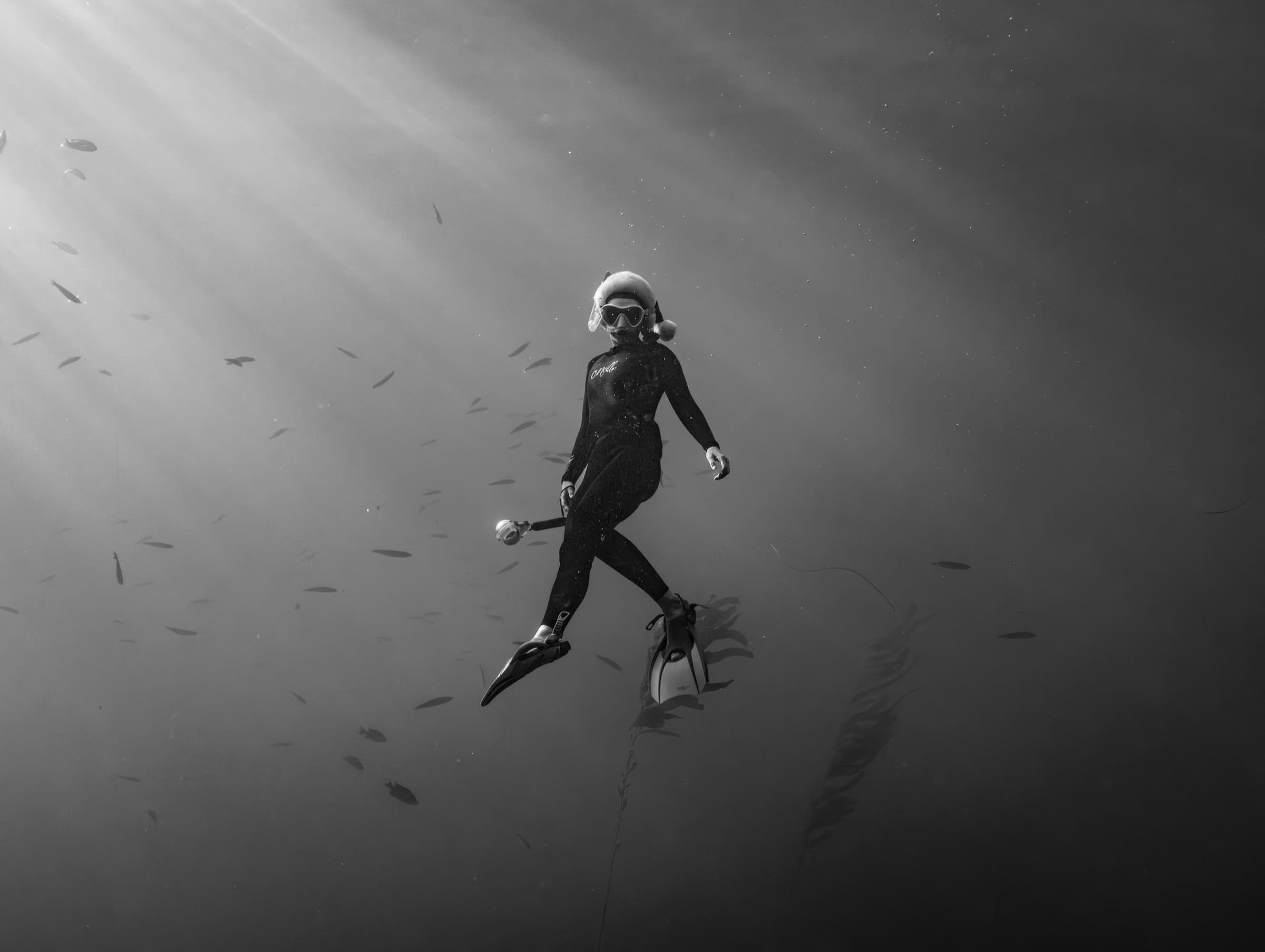 Freediver Ascent