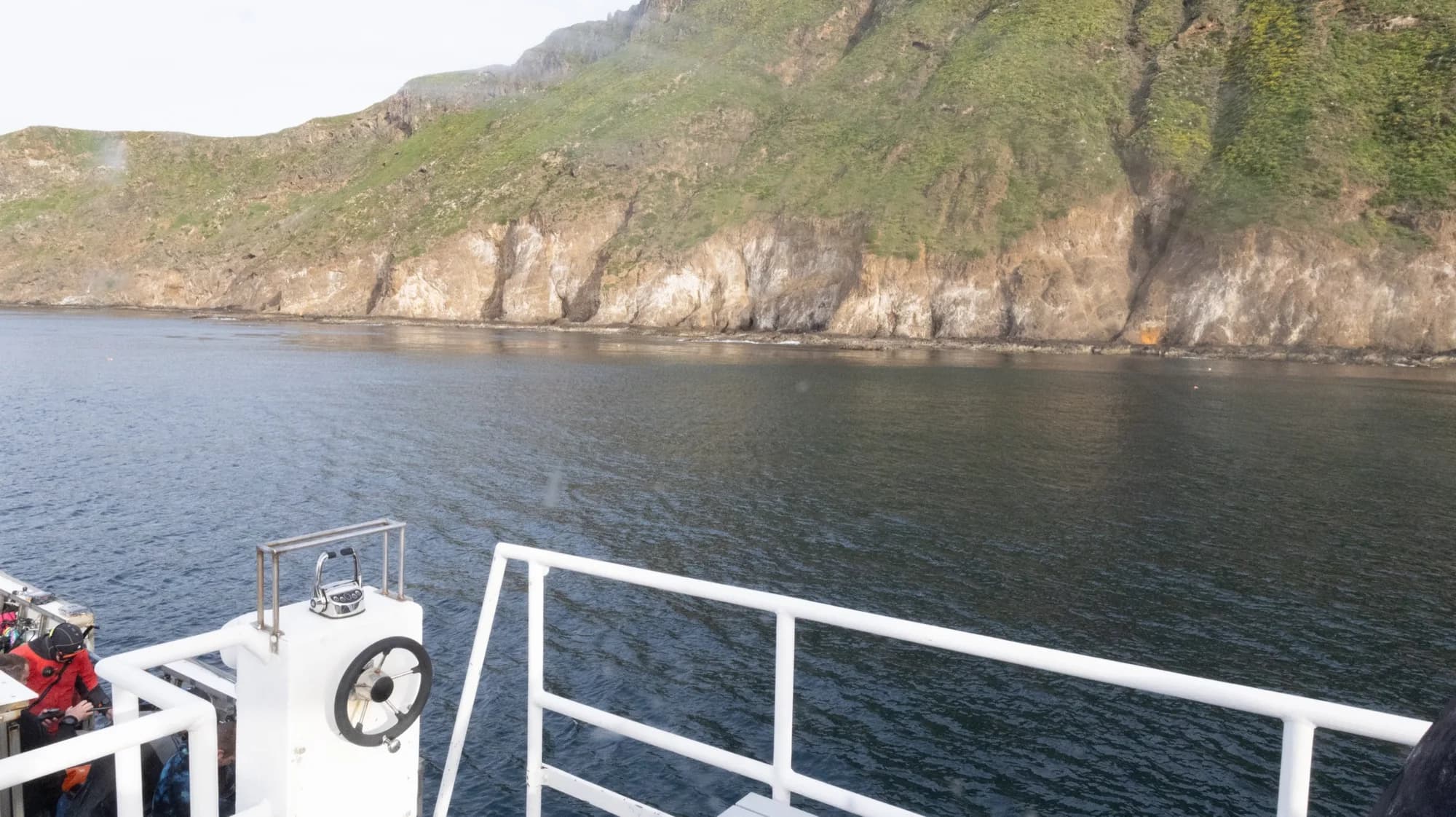 Underwater photography, at Channel Islands, (January 2026)