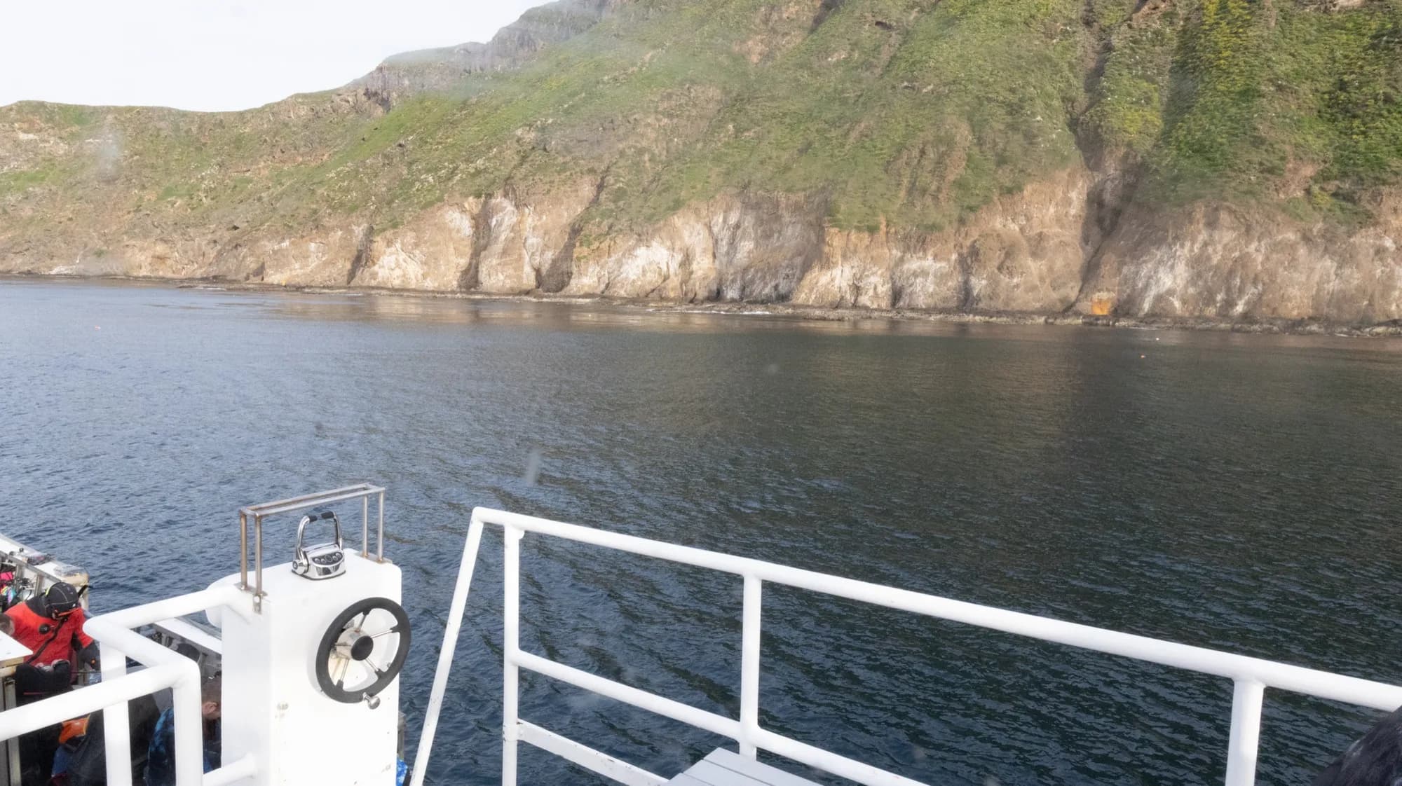 Underwater photography, at Channel Islands, (January 2026)