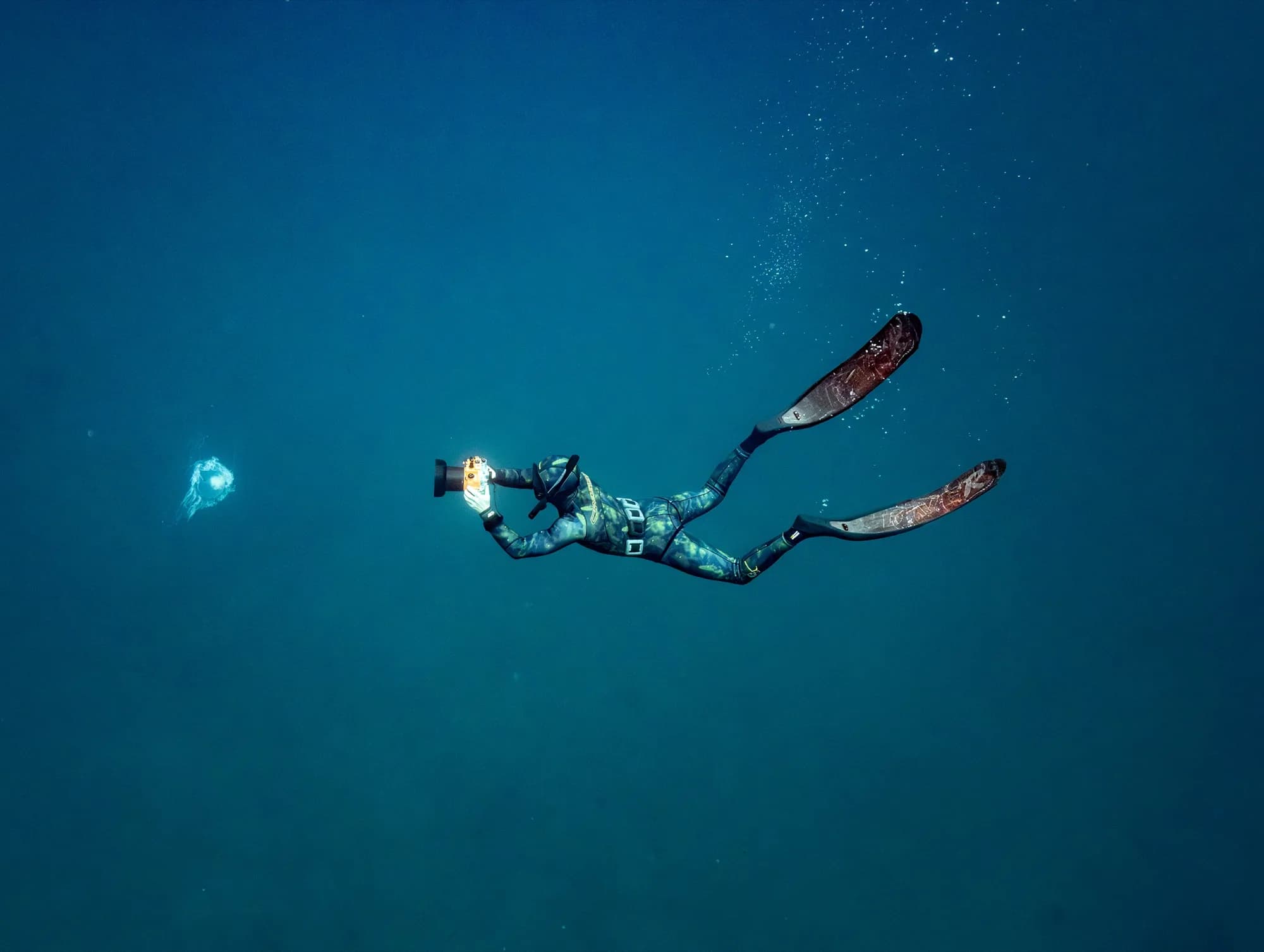 Underwater photography, at Channel Islands, (December 2025)