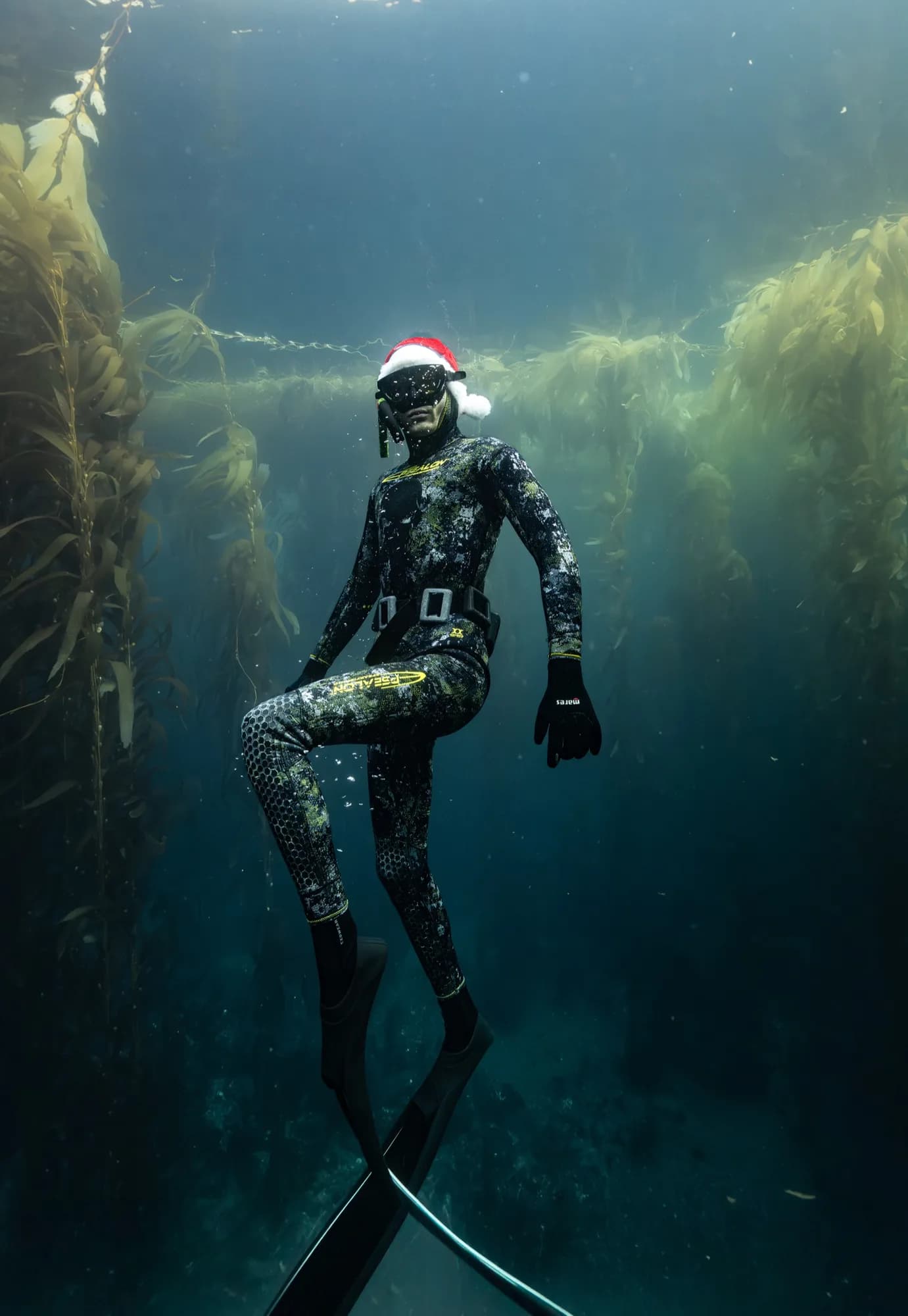 Underwater portrait, at Channel Islands, (December 2025)