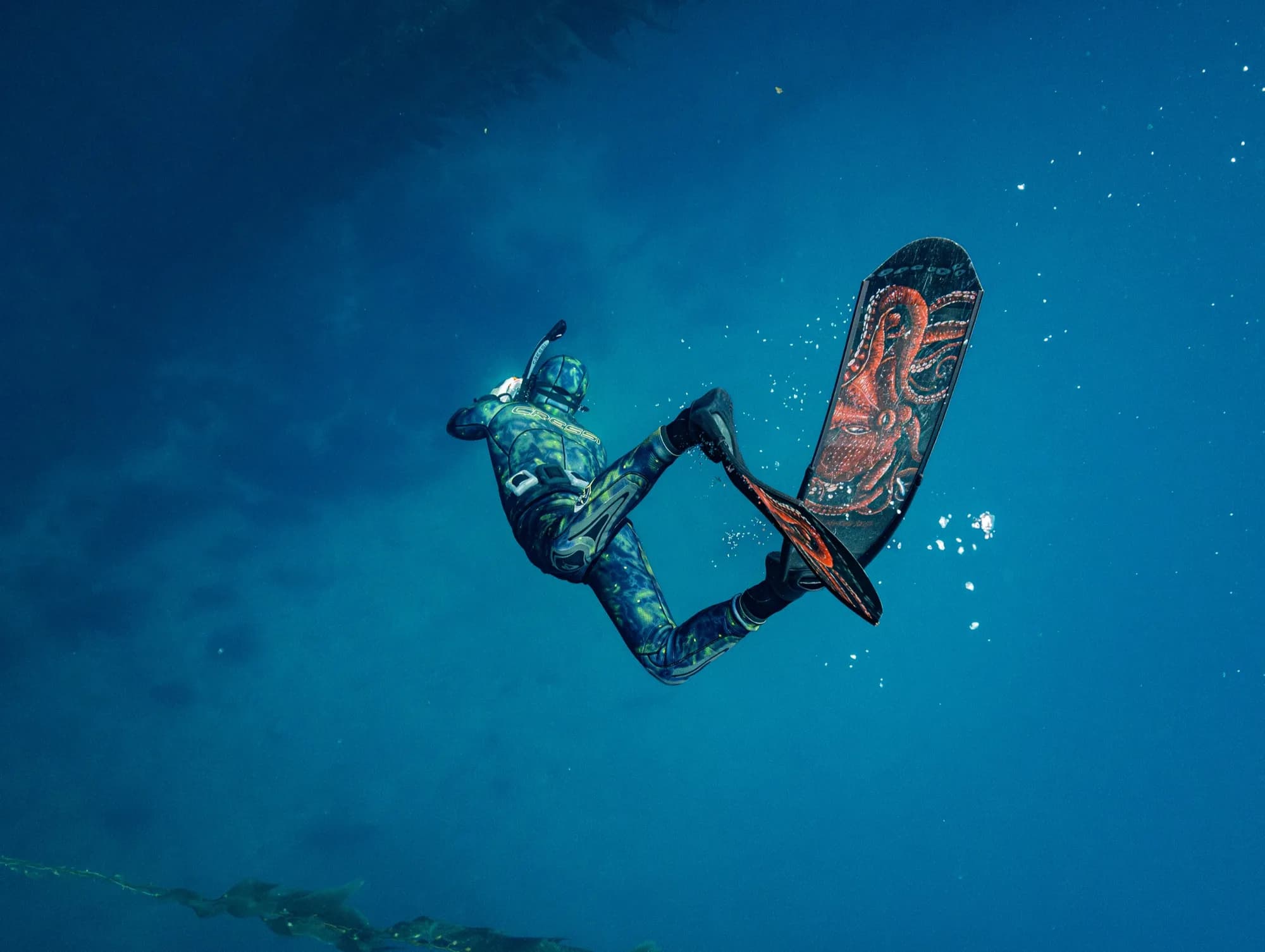 Underwater photography, at Channel Islands, (December 2025)