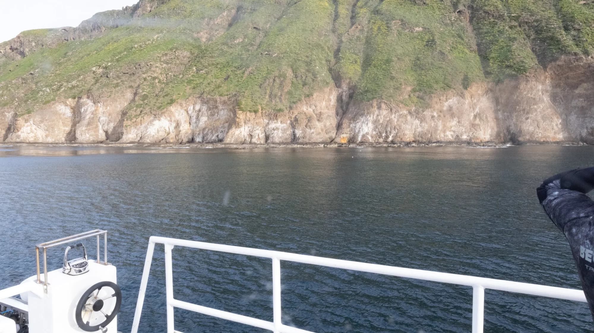 Underwater photography, at Channel Islands, (January 2026)