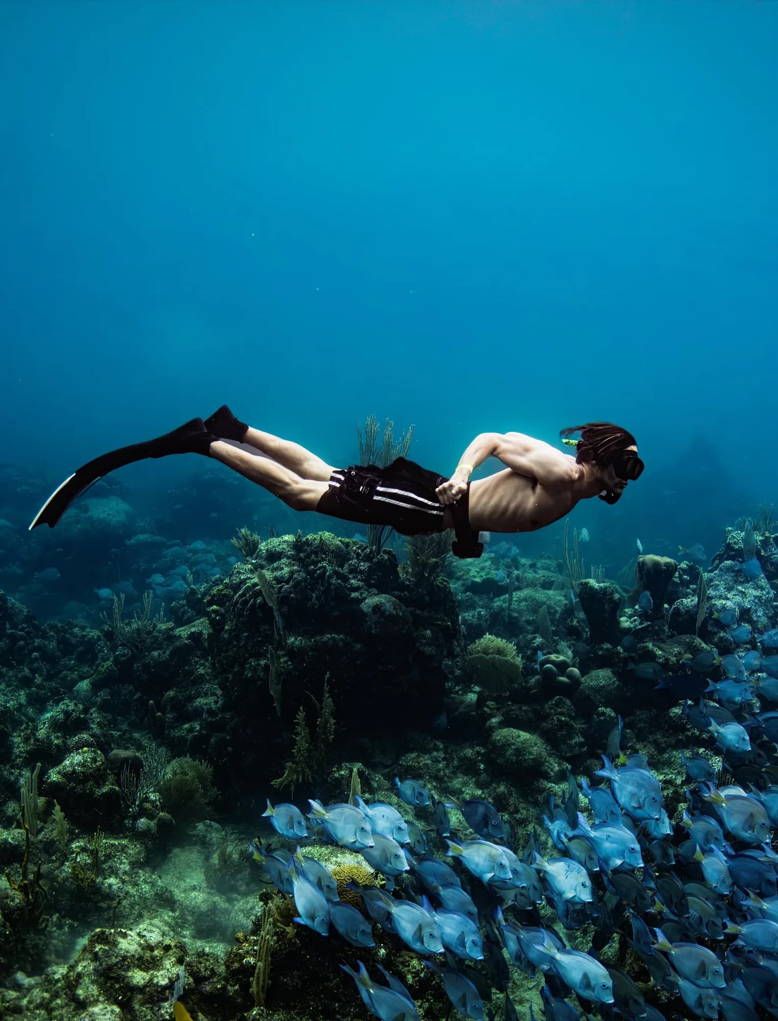 Underwater photography, at Honduras, (December 2025)