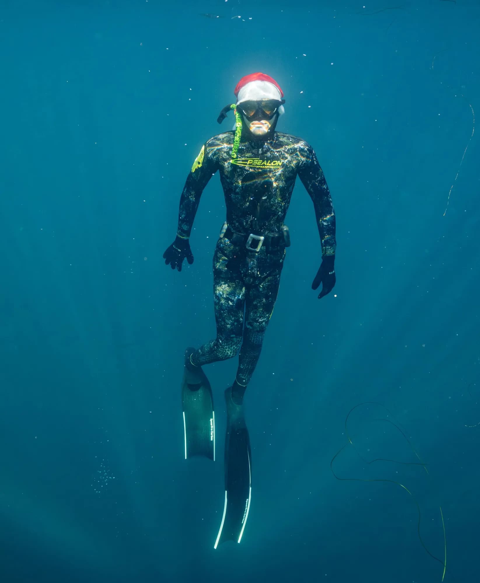 Underwater photography, at La Jolla, (December 2025)
