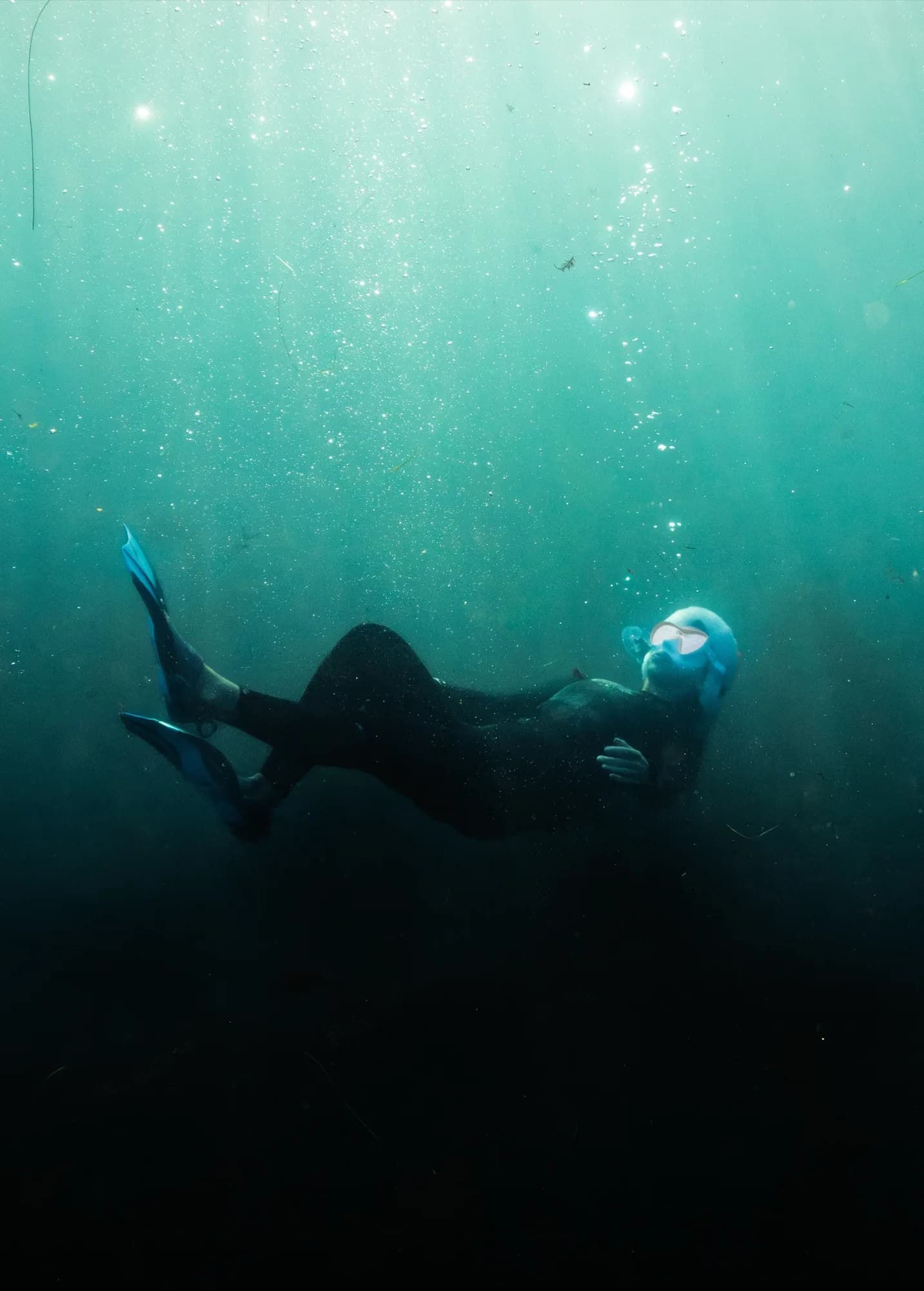 Underwater photography, at La Jolla, (December 2025)