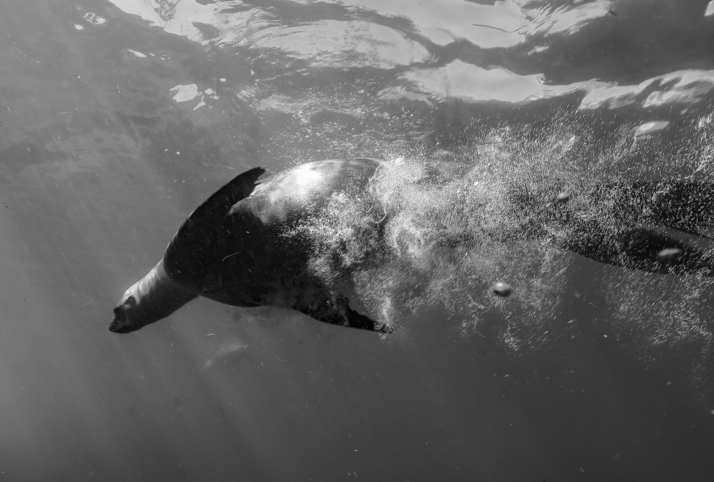 From RAW File to Museum Wall